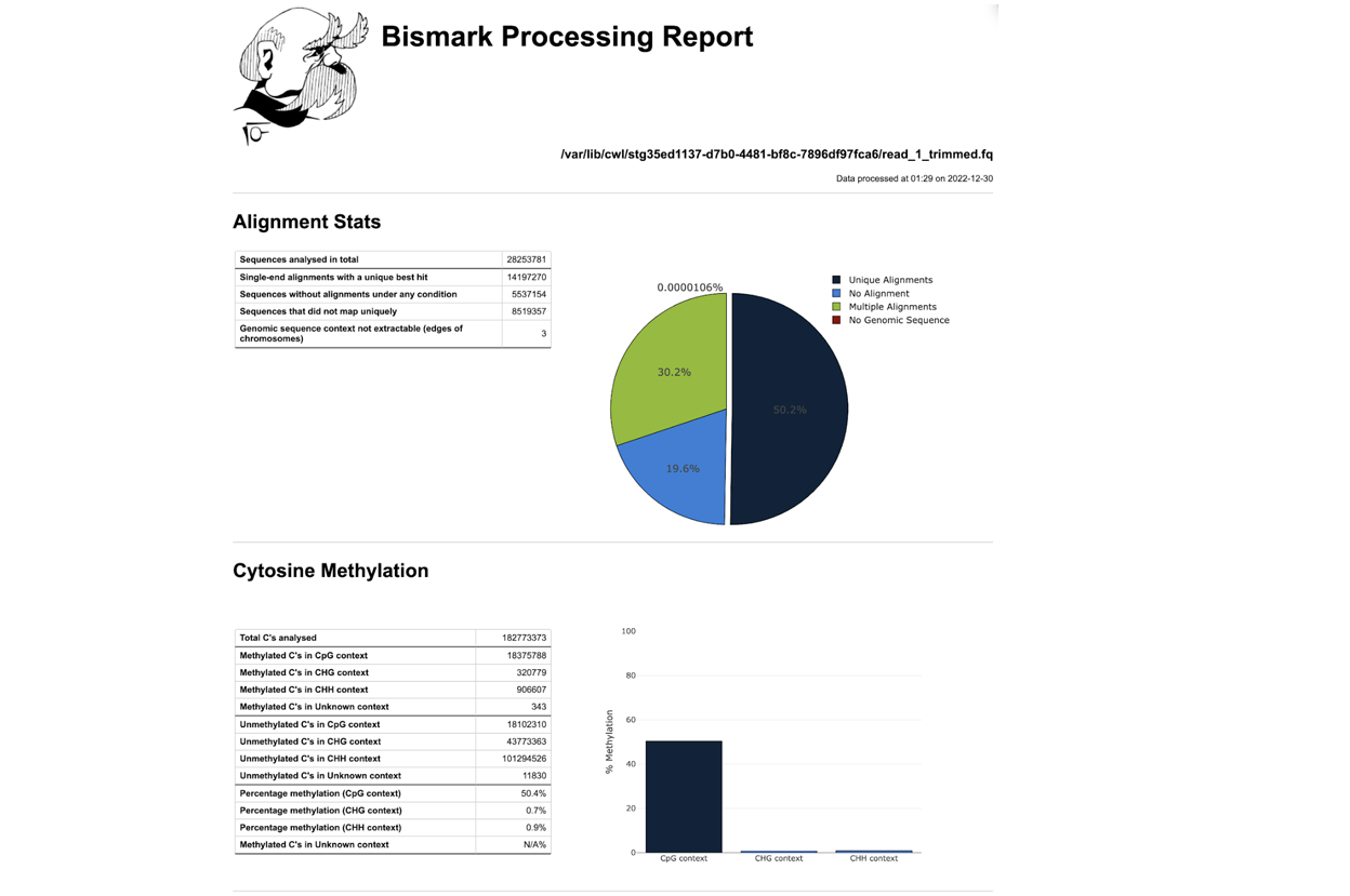 run Bismark alignment report to generate a graphical HTML report page
