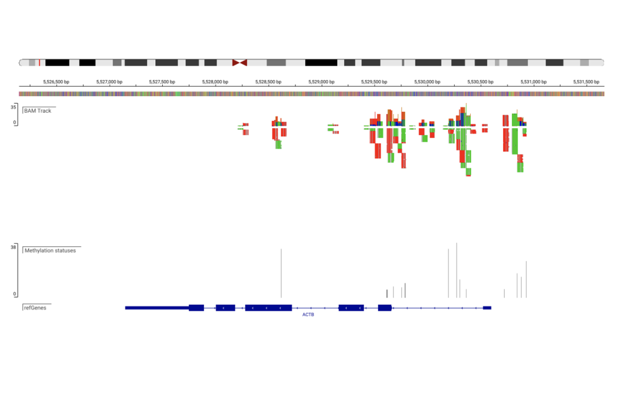 infered methylation state converted to bed for viewing in IGV